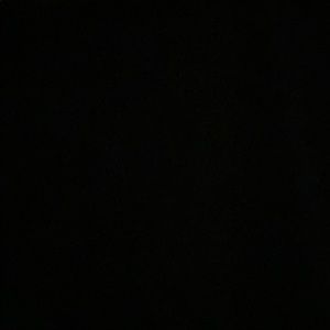 Meet your Posher, Warwick